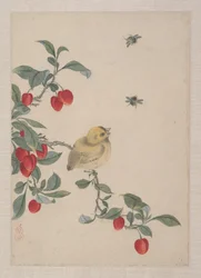 Oiseaux, insectes et fleurs