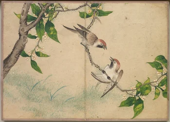 Album de Bureau : Peintures de Fleurs et d