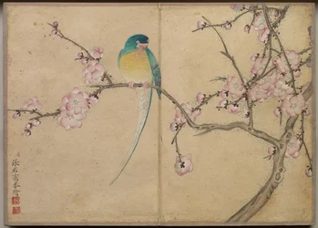 Album de bureau : Peintures de fleurs et d