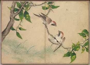 Album de bureau : Peintures de fleurs et d