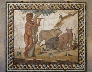 Joueur de flûte et bœufs