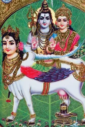 Dieu hindou Shiva et déesse Parvathi