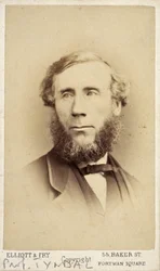 John Tyndall, physicien irlandais, vers 1875