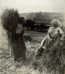 Les Moissonneuses, vers 1900