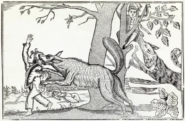 Le loup vers 1820 (gravure)