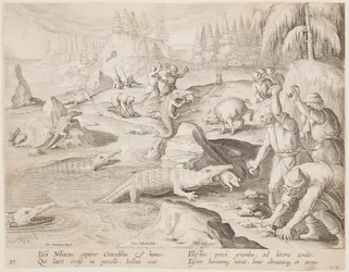 Chasse au crocodile
