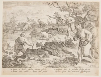 Chasser les Serpents