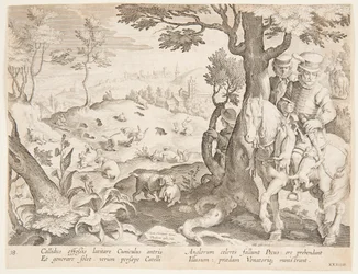 Chasse au lapin