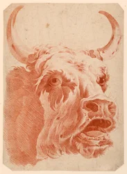Tête d