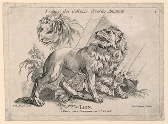 Études de Lions, Planche 4 de "Cahier des Desseins Diverses Animaux"