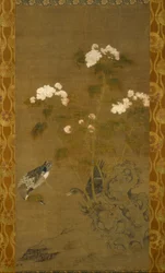 Pivoines et canards