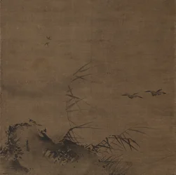Oiseaux aquatiques et roseaux