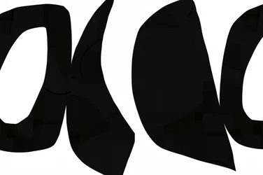 Courbes noires abstraites