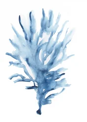 Abstrait : Corail bleu