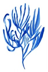 Abstrait : Corail bleu