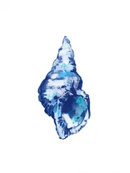 Coquillage bleu abstrait