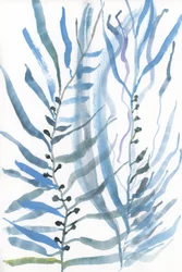 Plantes marines abstraites