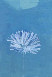 Fleur de la Lune bleue