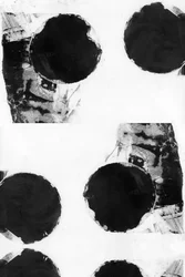 Cercles abstraits audacieux