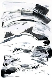 Noir et blanc audacieux
