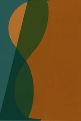 Formes courbes colorées