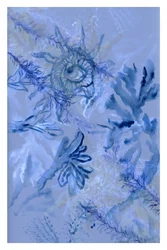 Deep Sea Botanicals