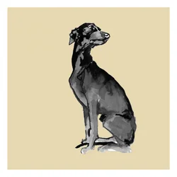 Élégant chien noir