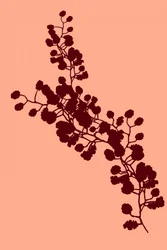 Élégante silhouette florale