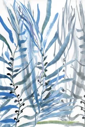 Flower Blue Botanicals