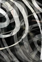 Lignes monochromes fluides
