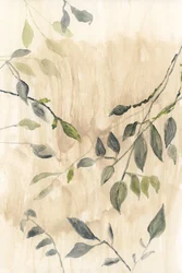 Douces feuilles vertes
