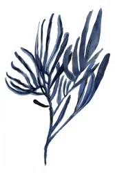 Branches botaniques indigo