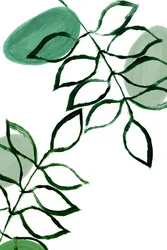 Feuilles vertes bio