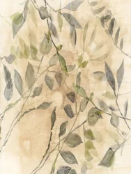 Feuilles végétales délicates