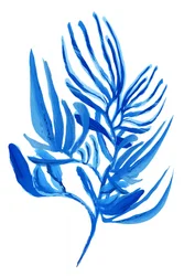 Feuillage bleu tropical