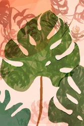 Feuilles de monstera tropical