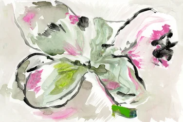 Esquisse florale éclatante