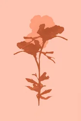 Une floraison botanique chaleureuse