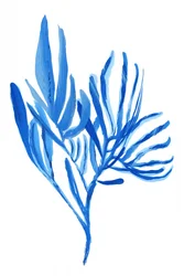 Formes végétales bleu clair