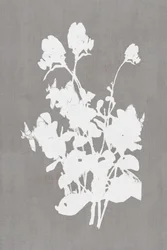 Silhouette florale blanche