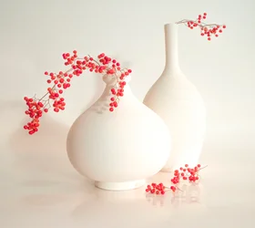 Vases élégants aux motifs de baies