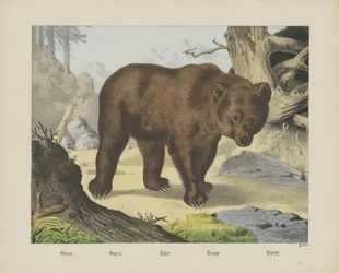 Ours