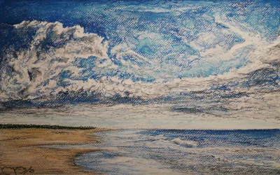 Plage de Punta Arenas