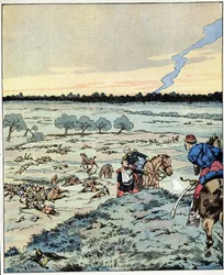 Des cuirassés ? Il n