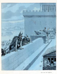 Illustration du livre « A la gloire des bêtes »: Les oies du Capitole