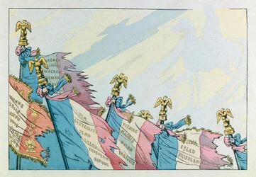 Illustration du livre « Les épées de France » : Les aigles de Napoléon